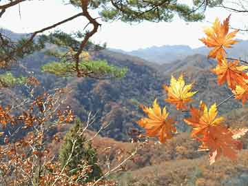 西夏区最新干部任免动态及其影响